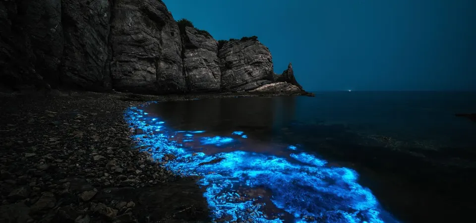 Bioluminescent creatures floating on the sea 