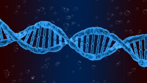 Read more about the article Personalized Medicine and CRISPR-Cas9