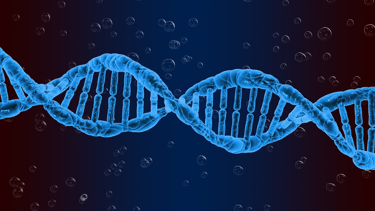 You are currently viewing Personalized Medicine and CRISPR-Cas9