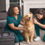 The Future of Veterinary Medicine: Emerging Technologies in Animal Care