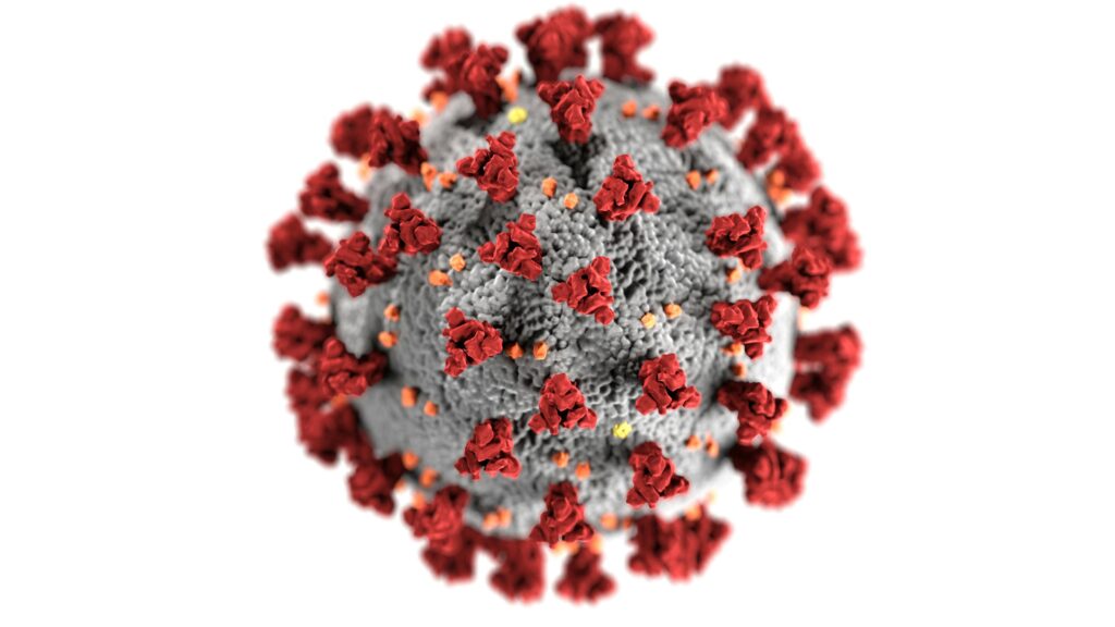 virus image with red proteins sticking out and a grey circle.