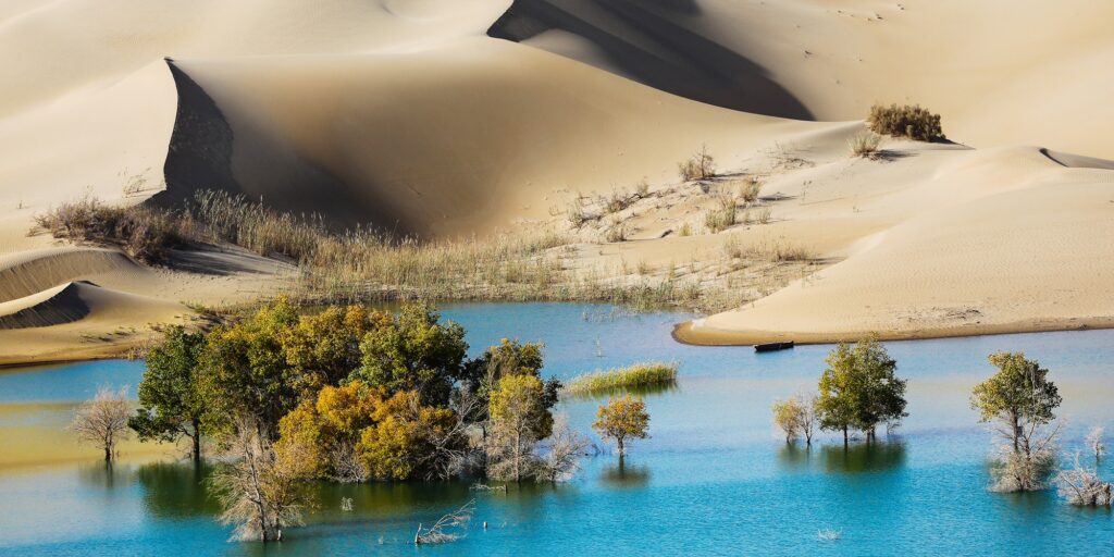Tarim Basin, where Caspian Tiger inhabited