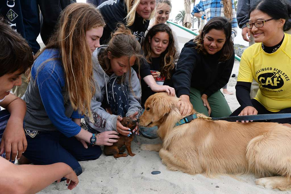 Read more about the article Creatures That Cure