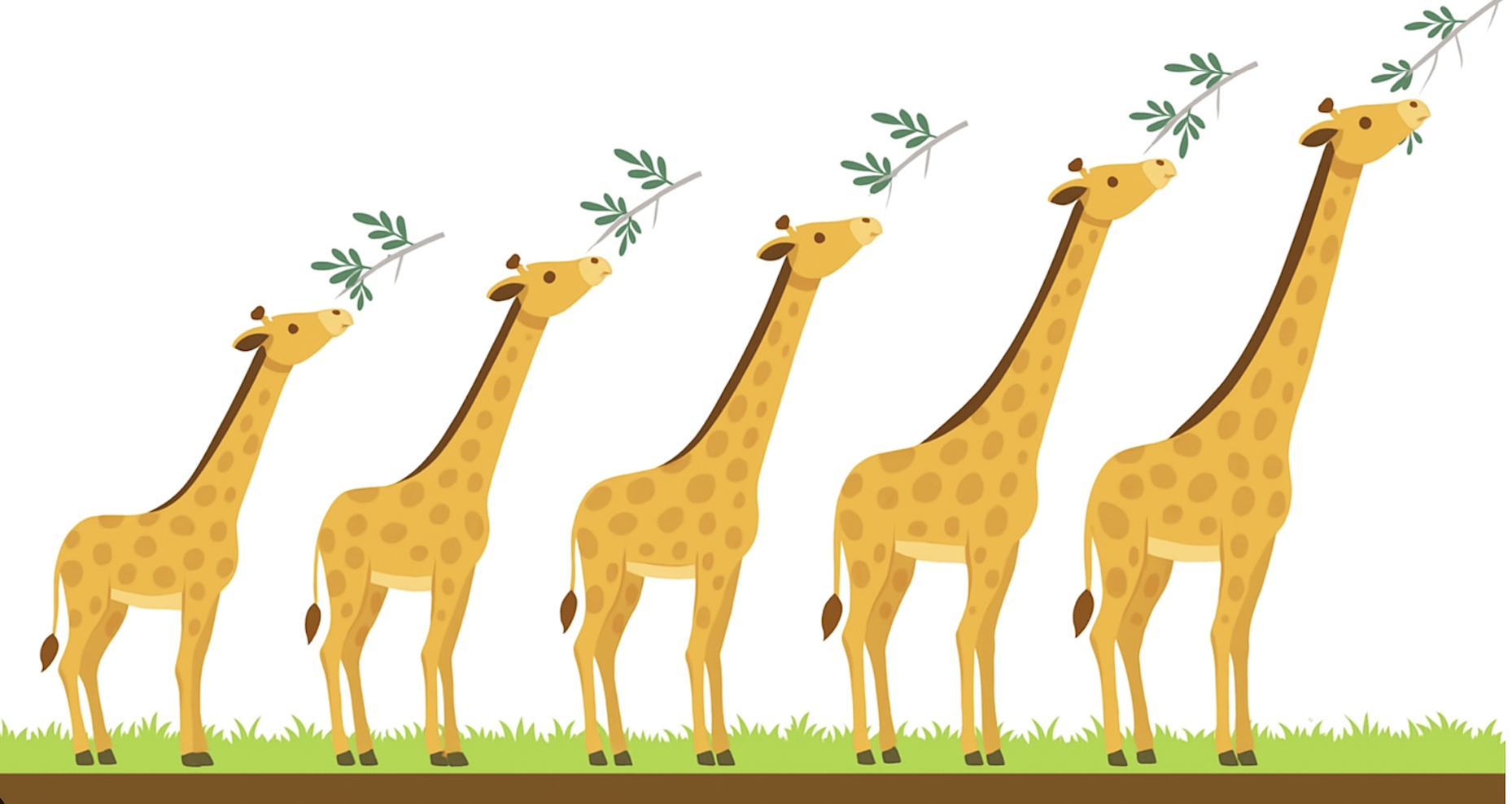 Image depicting the principle of use and disuse according to Lamarckian evolution theory.
