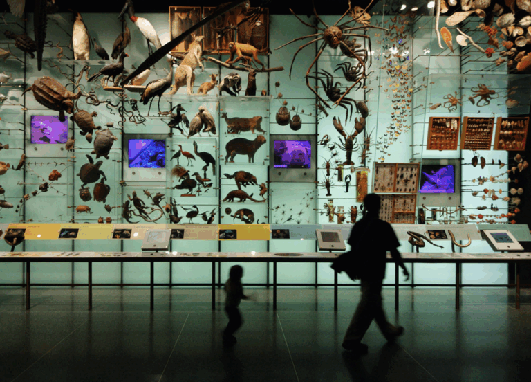 Introduction To Biodiversity